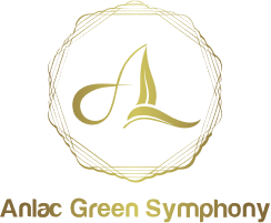 Moonlight 1 – AnLac Green Symphony